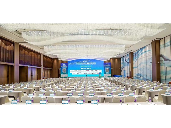 Forum on Photovoltaic and Energy Storage Materials in 2022